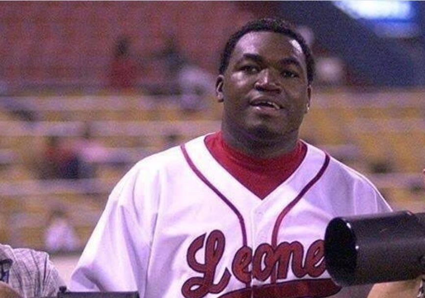 David-Ortiz-Leones